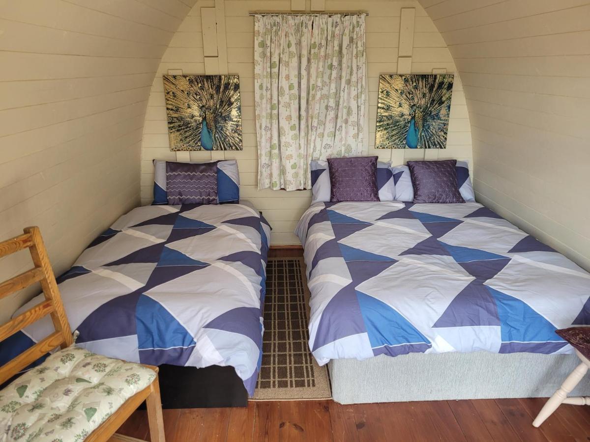 Effernan Shannon Estuary Glamping מראה חיצוני תמונה