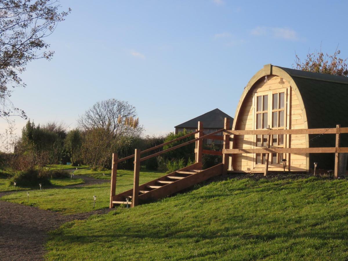 Effernan Shannon Estuary Glamping מראה חיצוני תמונה